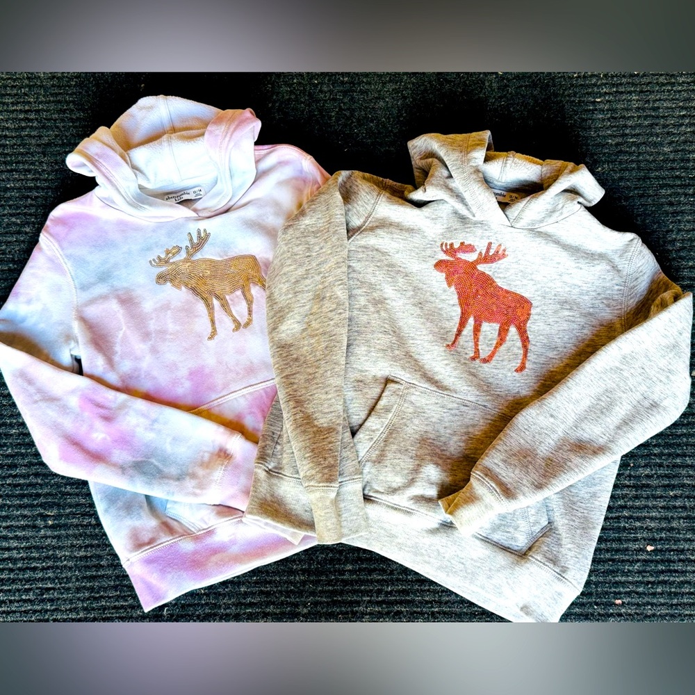 Abercrombie and Fitch Kid’s Moose Sequine Hoodies in Tie-Dye and Gray